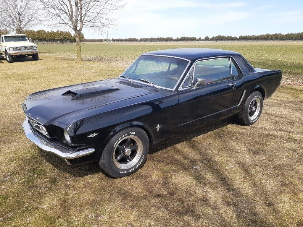 Classic Cars Photo Gallery | 